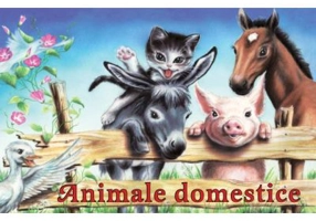 Animale domestice