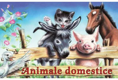 Animale domestice