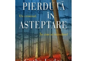 Pierduta in asteptare