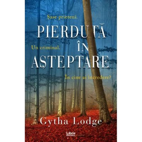 Pierduta in asteptare