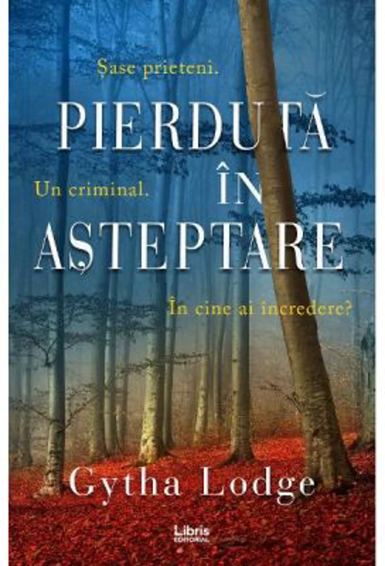 Pierduta in asteptare
