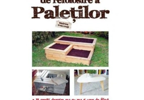 Modalitati de refolosire a paletilor - Beatrice d'Asciano