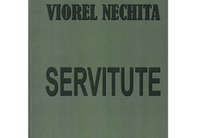 Servitute - Viorel Nechita