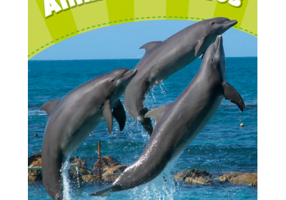 Level 4: Animal Athletes CLIL AmE - Caroline Laidlaw