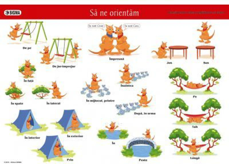 Plansa „Sa ne orientam”