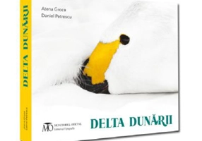 Delta Dunarii - Atena Groza, Daniel Petrescu