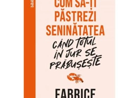 Cum sa-ti pastrezi seninatatea cand totul in jur se prabuseste - Fabrice Midal