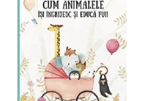 Cum animalele isi ingrijesc si educa puii