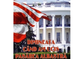 Dimineata cand am ucis pasarea albastra - Mihaela Raileanu