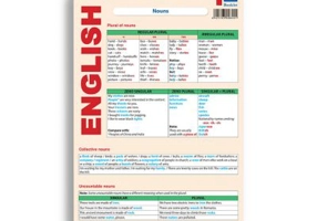 Basic English 1 - Mihaela Danga, Laura Popescu