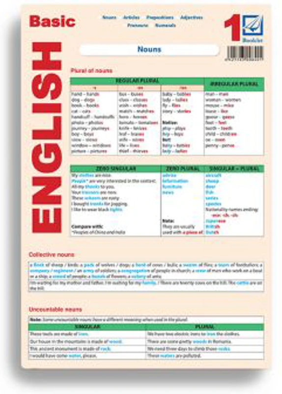 Basic English 1 - Mihaela Danga, Laura Popescu