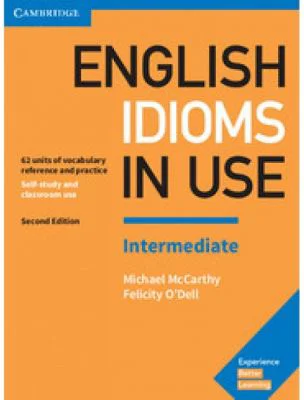 English Idioms in Use Intermediate Book with Answers. Vocabulary Reference and Practice