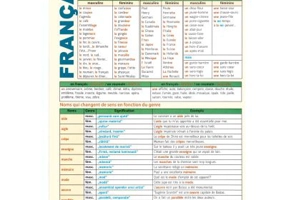 Francais facile 1 Pliant - Daniela Harsan