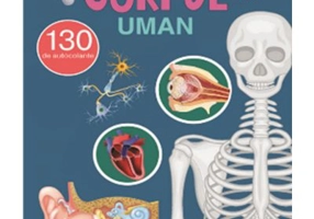 Corpul uman - Carte cu 130 autocolante - Gheorghe Ghetu