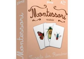 Insecte din Romania. Carti de joc Montessori vocabular