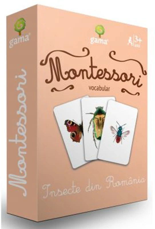 Insecte din Romania. Carti de joc Montessori vocabular