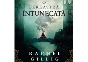 O fereastra intunecata - Rachel Gillig