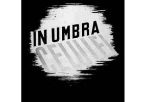 In umbra celulei - Petru Groza