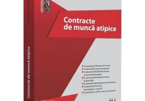 Contracte de munca atipice - Mihaela-Emilia Marica