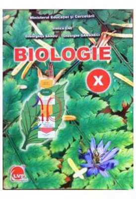 Manual Biologie pentru clasa a 10-a - Stelica Ene