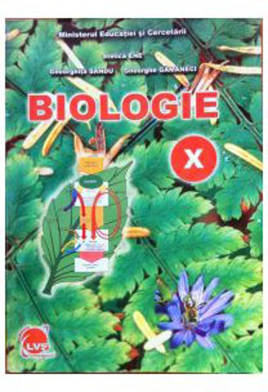 Manual Biologie pentru clasa a 10-a - Stelica Ene