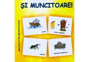 Gaze mici si muncitoare - Set jetoane