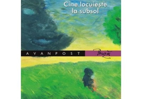 Cine locuieste la subsol - Diana Geacar