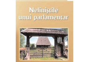 Nelinistile unui parlamentar - Nicolae Bud