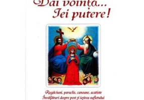 Dai vointa... iei putere - Rugaciuni, paraclise, canoane si invataturi despre post si iesirea sufletului - Nicodim Mandita