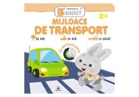 Mijloace de transport. Iepurasul Bunny