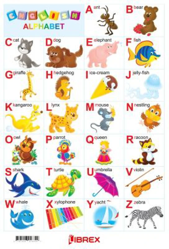 English Alphabet. Alfabetul in limba engleza. Plansa A4