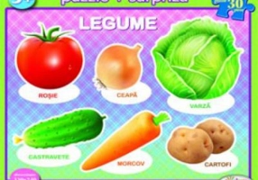 Puzzle Legume