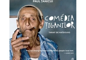 Comedia tiganilor - Paul Tanicui