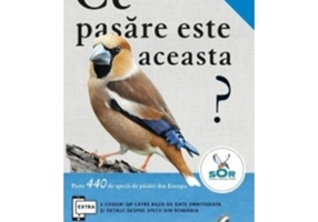 Ce pasare este aceasta? - Volker Dierschke