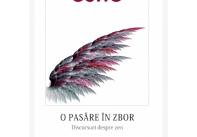 O pasare in zbor. Povestiri zen pentru viata de zi cu zi