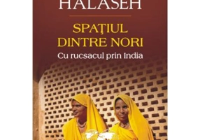 Spatiul dintre nori. Cu rucsacul prin India - Desiree Halaseh