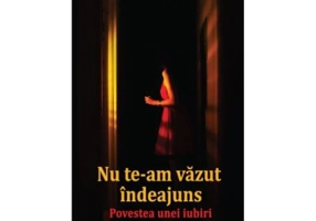 Nu te-am vazut indeajuns. Poveste de iubire - Stelian Turlea