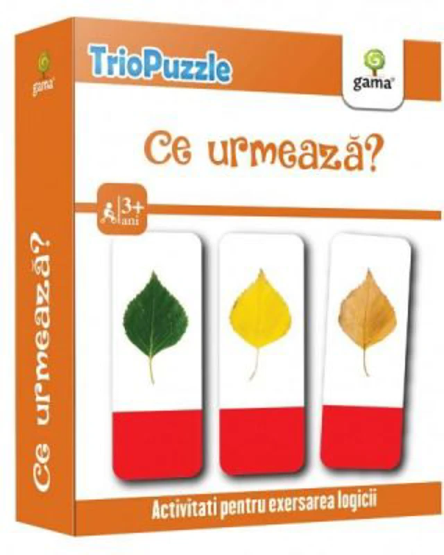 Ce urmeaza? TrioPuzzle 2020