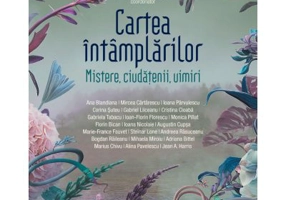 Cartea intamplarilor. Mistere, ciudatenii, uimiri - Tatiana Niculescu (coord.)