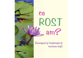 Ce rost am? Descopera si implineste-ti menirea vietii - Aimen Klimmeron