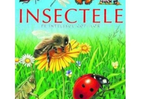 Insectele pe intelesul copiilor - Emilie Beaumont