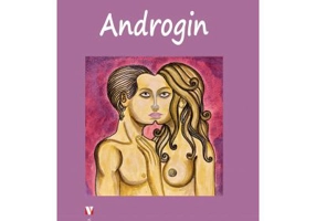 Androgin - Elena Otilia