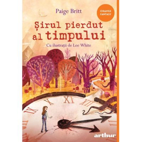 Sirul pierdut al timpului. Paperback