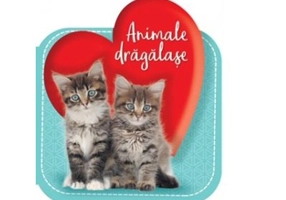 Animale dragalase - CUBERDON