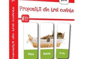 Propozitii din trei cuvinte. TrioPuzzle 2020