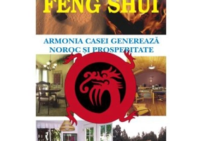 Feng shui - Robert Hasinger