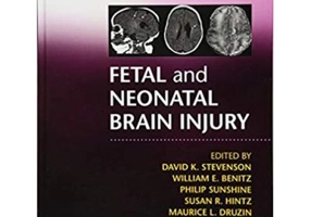 Fetal and Neonatal Brain Injury - David K. Stevenson, William E. Benitz, Philip Sunshine, Susan R. Hintz, Maurice L. Druzin
