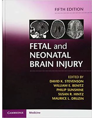 Fetal and Neonatal Brain Injury - David K. Stevenson, William E. Benitz, Philip Sunshine, Susan R. Hintz, Maurice L. Druzin