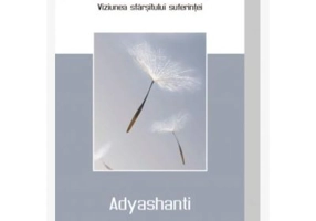 Revarsare de gratie. Viziunea sfarsitului suferintei - Adyashanti