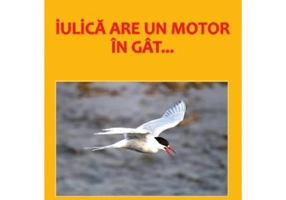 Iulica are un motor in gat... - Mircea Udrescu
